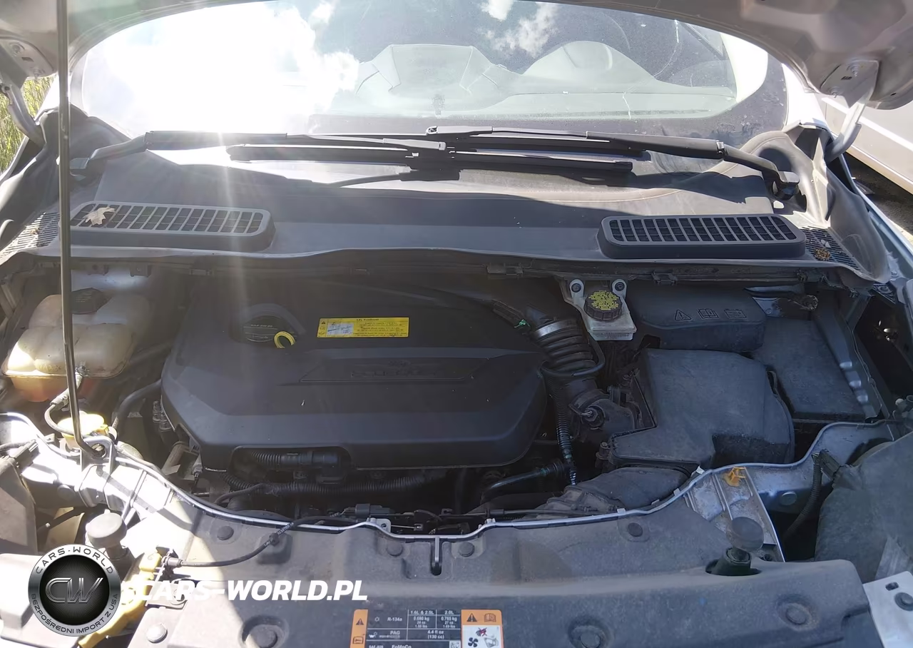 2016 Ford Escape Se VIN:1FMCU0GX9GUC08977 - 10