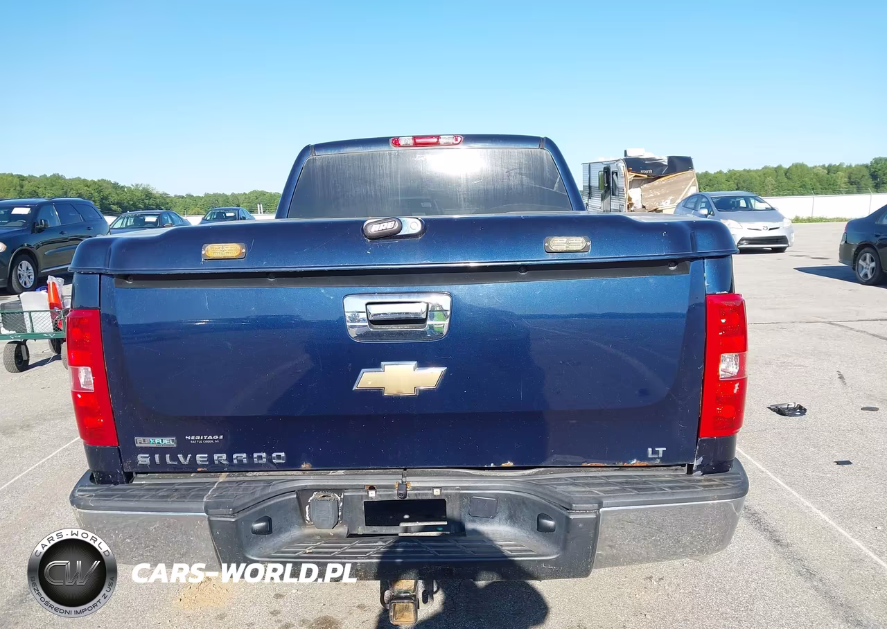 2010 Chevrolet Silverado 1500 Lt VIN:1GCSKSE30AZ179185 - 16