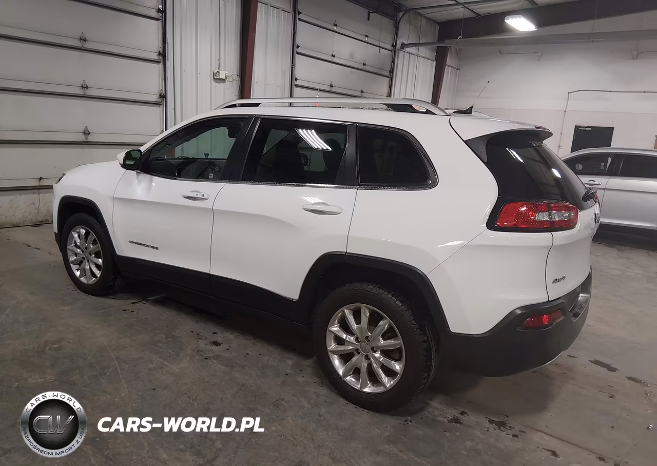 2014 Jeep Cherokee Limited VIN:1C4PJMDS3EW246804 - 3