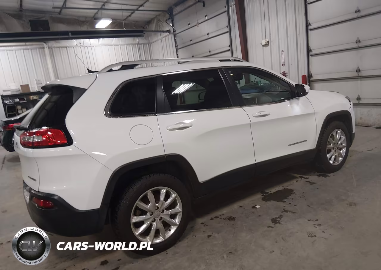 2014 Jeep Cherokee Limited VIN:1C4PJMDS3EW246804 - 4