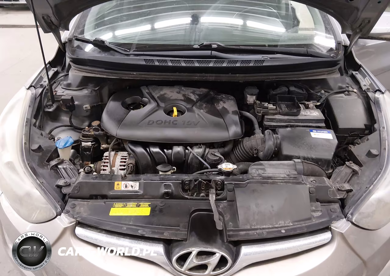 2014 Hyundai Elantra Limited VIN:KMHDH4AE4EU110024 - 10