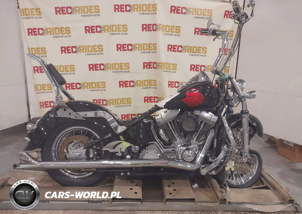 2003 Harley-Davidson Fxsti VIN:1HD1BVB163Y105230 - 12