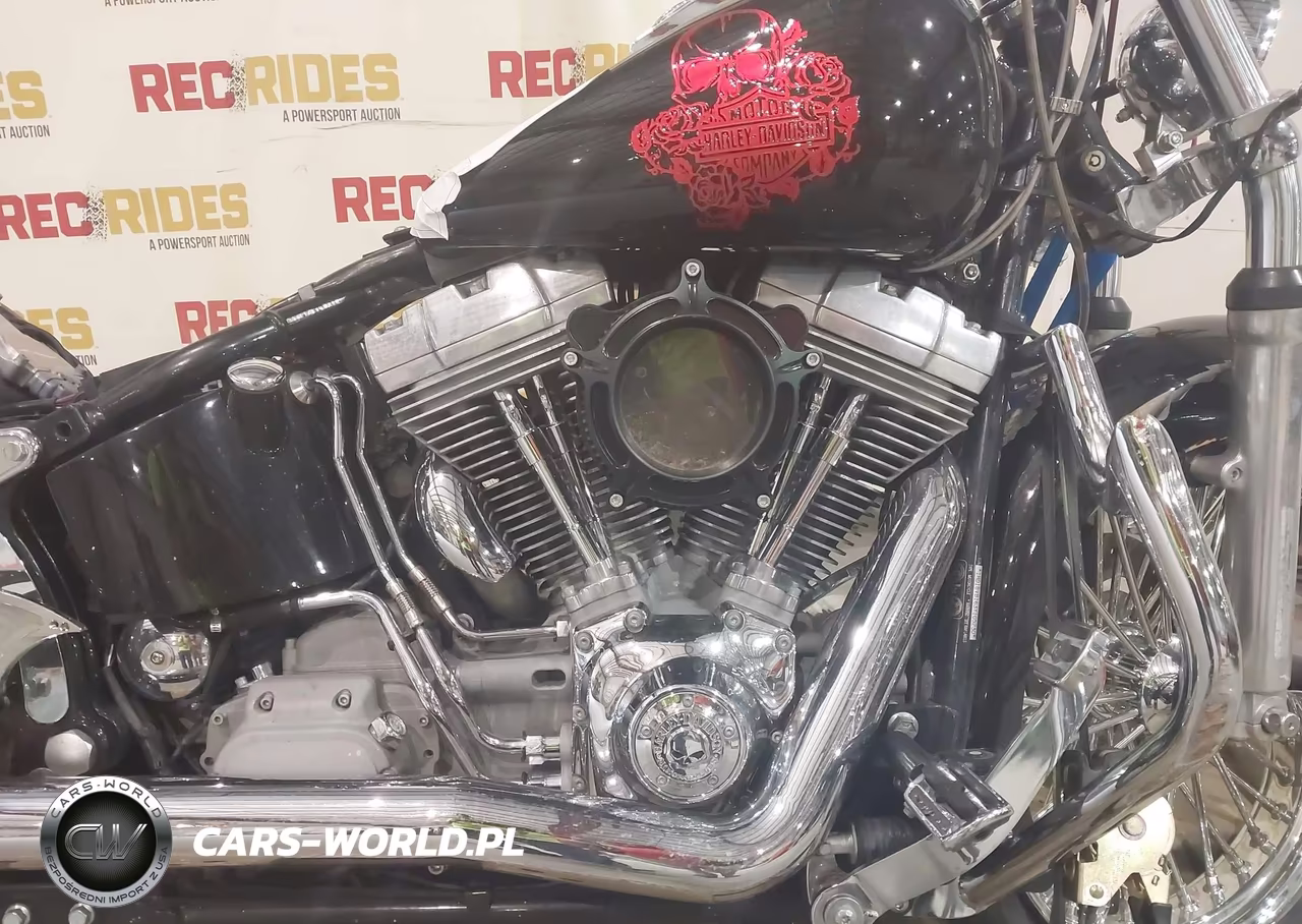 2003 Harley-Davidson Fxsti VIN:1HD1BVB163Y105230 - 8