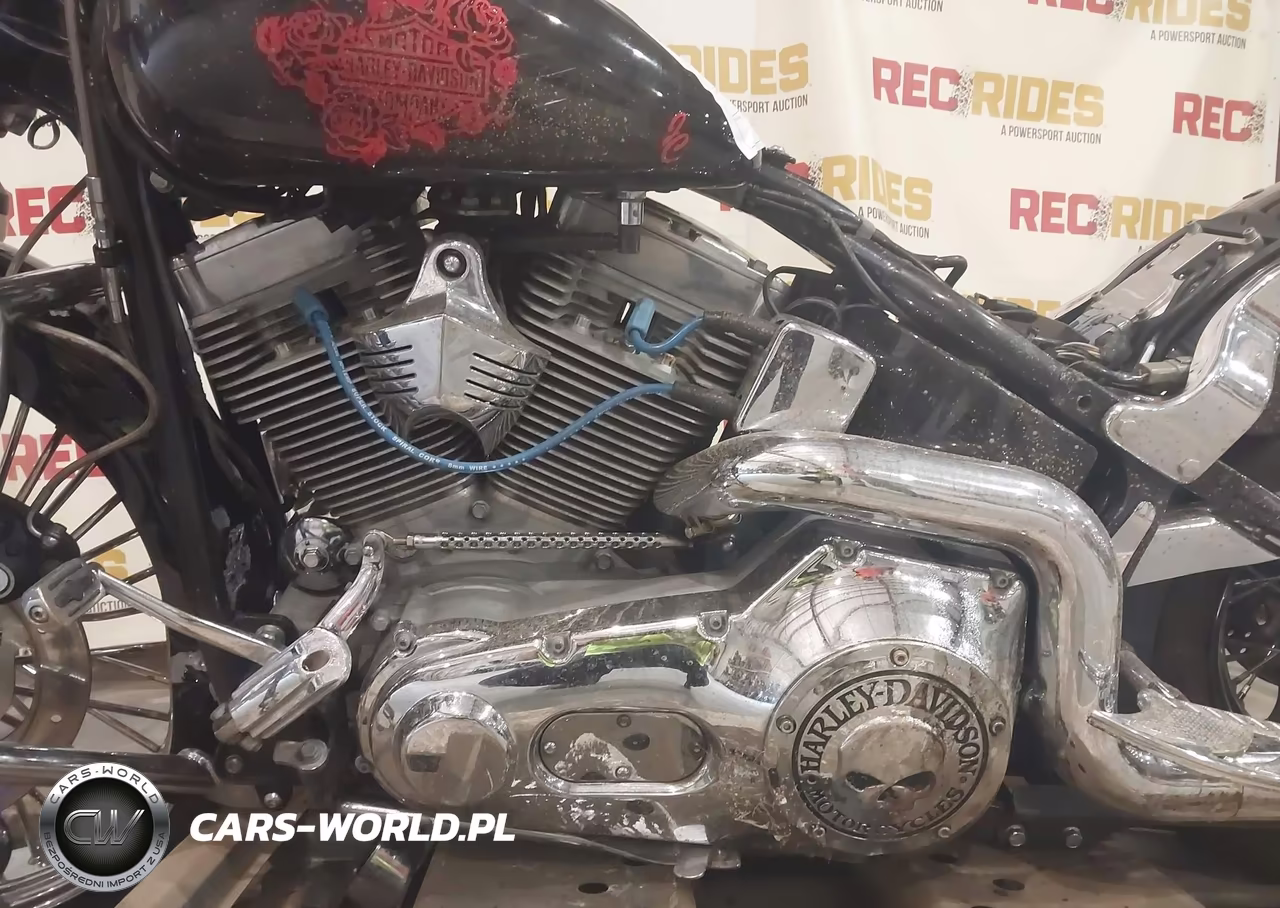 2003 Harley-Davidson Fxsti VIN:1HD1BVB163Y105230 - 9