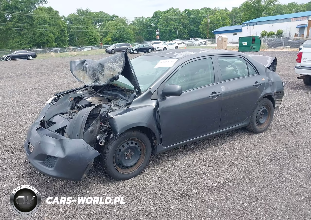 2010 Toyota Corolla Le VIN:1NXBU4EE7AZ303923 - 2