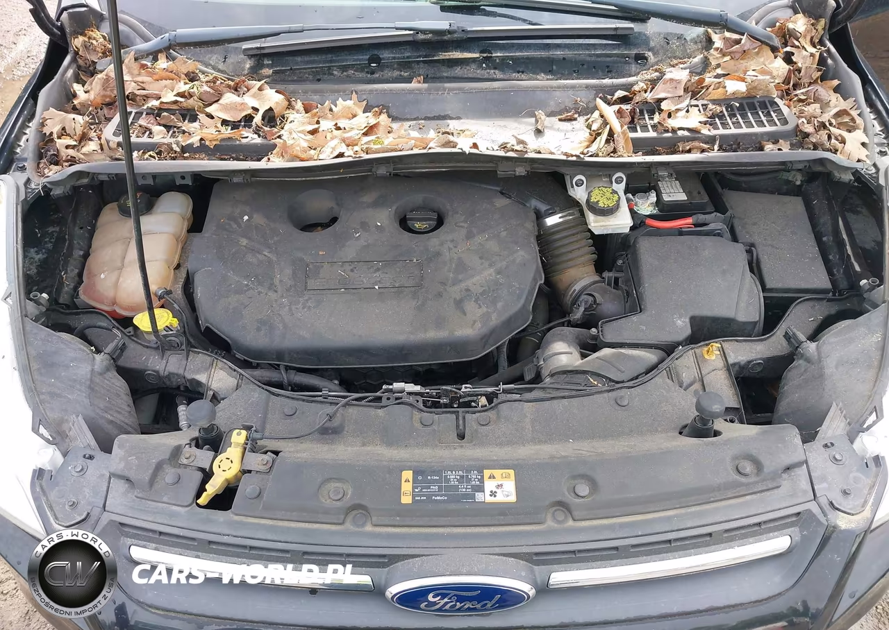 2016 Ford Escape Se VIN:1FMCU9G90GUB93792 - 10