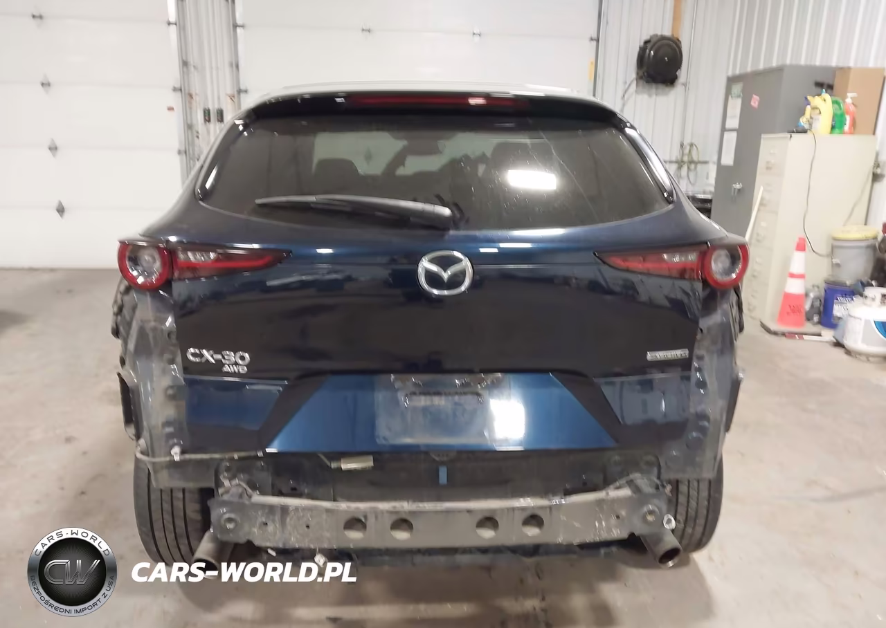 2020 Mazda Cx-30 Select Package VIN:3MVDMBCL3LM121743 - 17