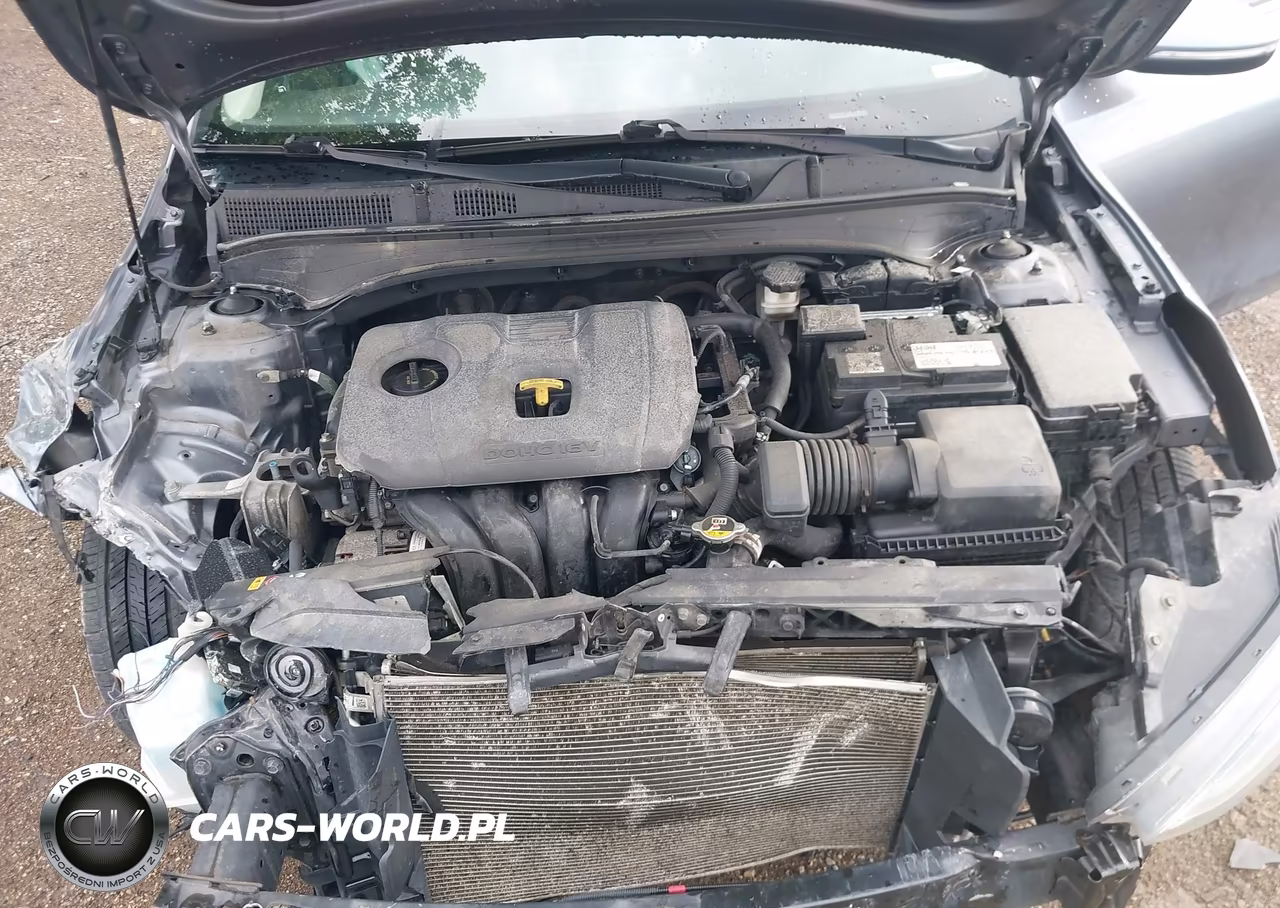 2019 Kia Forte Ex VIN:3KPF54AD6KE118441 - 10