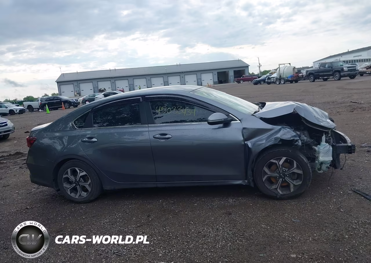 2019 Kia Forte Ex VIN:3KPF54AD6KE118441 - 13