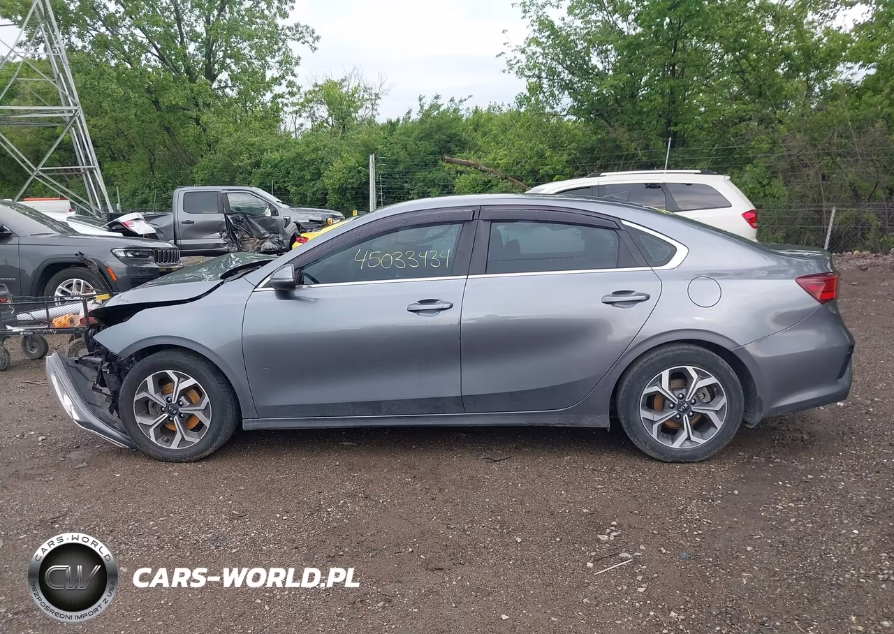2019 Kia Forte Ex VIN:3KPF54AD6KE118441 - 14