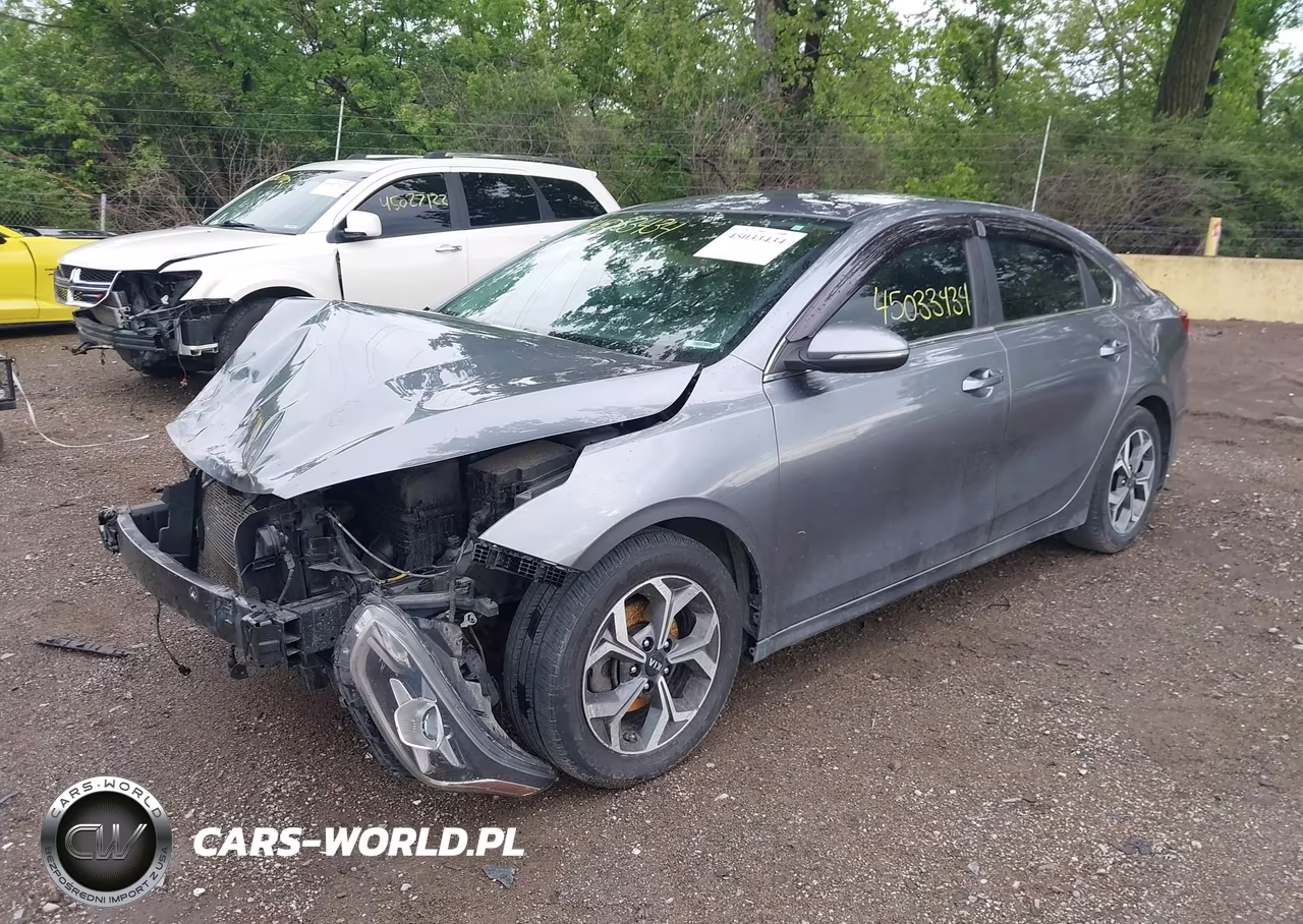 2019 Kia Forte Ex VIN:3KPF54AD6KE118441 - 2