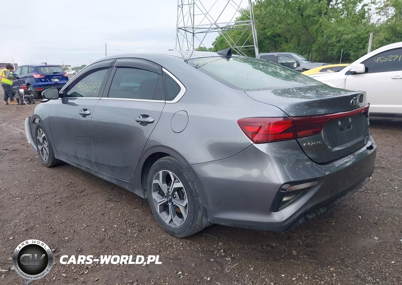 2019 Kia Forte Ex VIN:3KPF54AD6KE118441 - 3