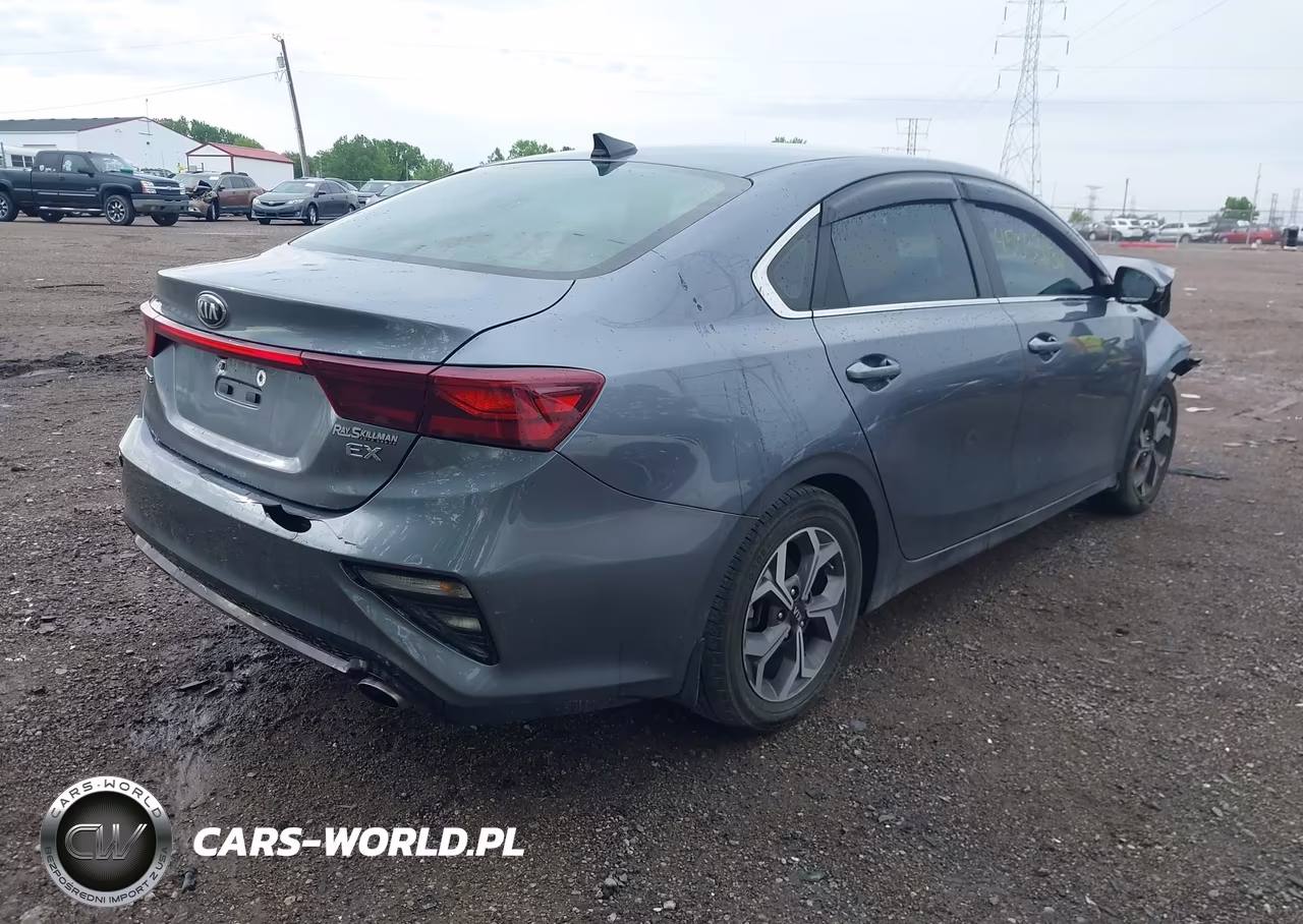 2019 Kia Forte Ex VIN:3KPF54AD6KE118441 - 4