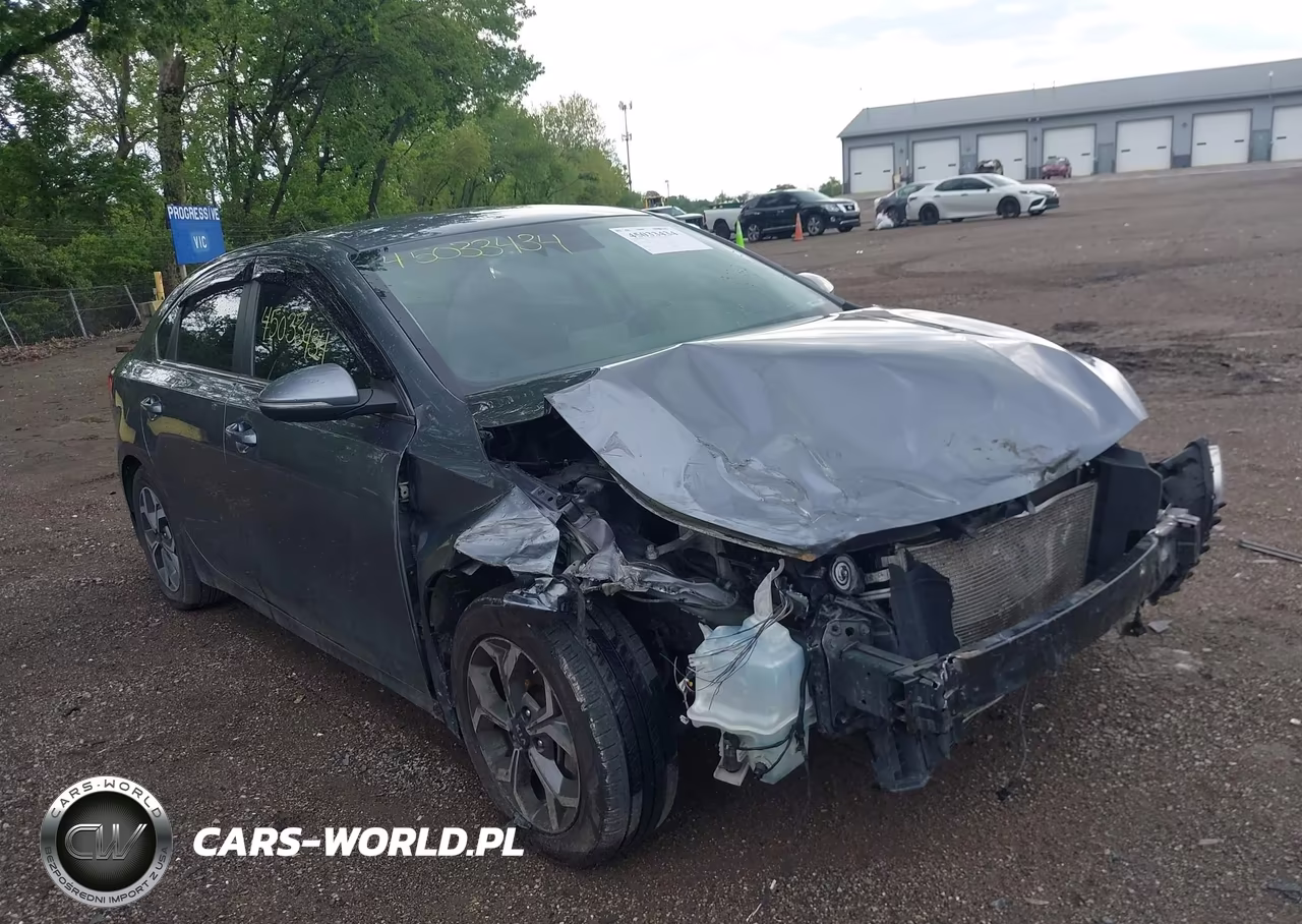2019 Kia Forte Ex VIN:3KPF54AD6KE118441 - 6