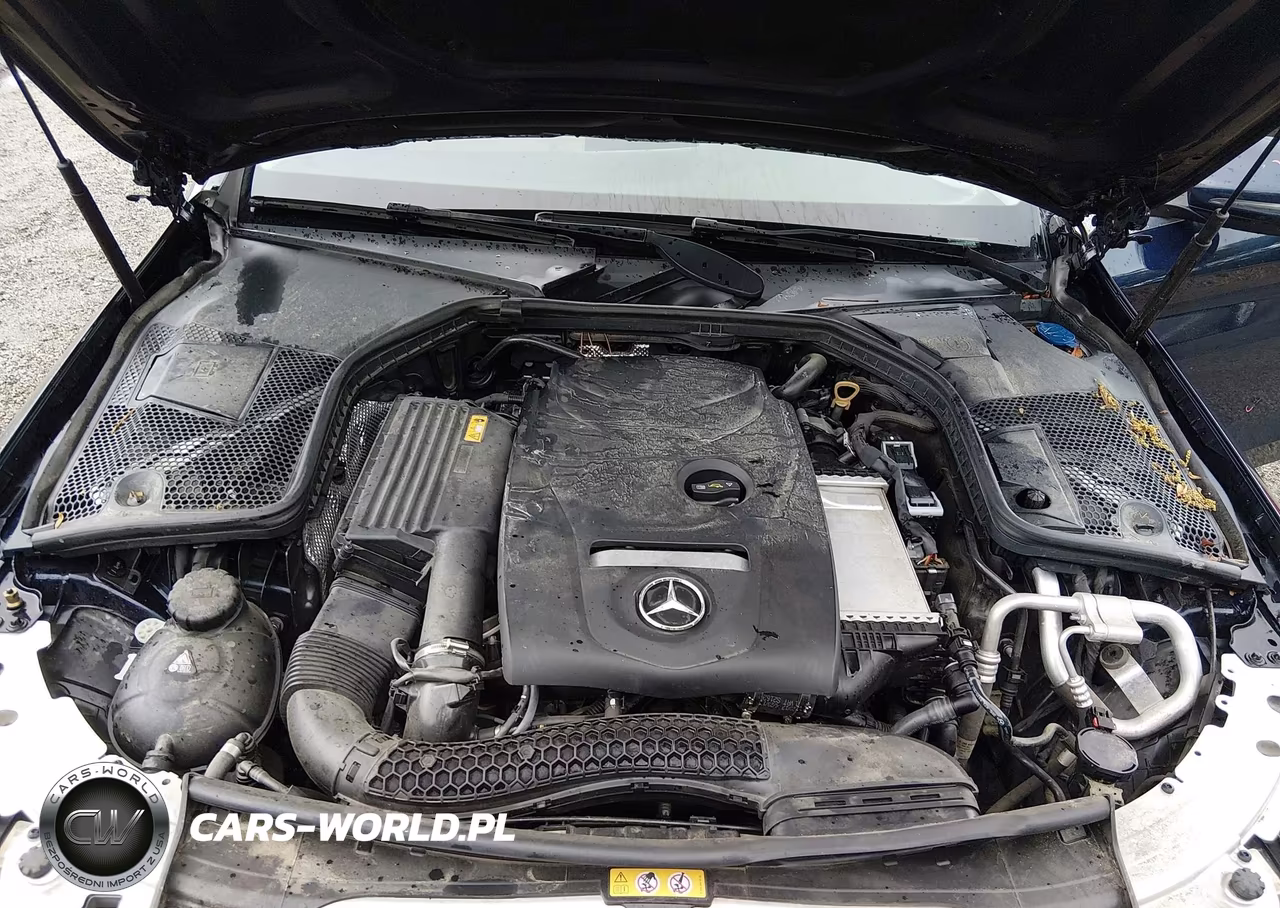 2018 Mercedes-Benz C 300 VIN:WDDWF4JB1JR389542 - 10