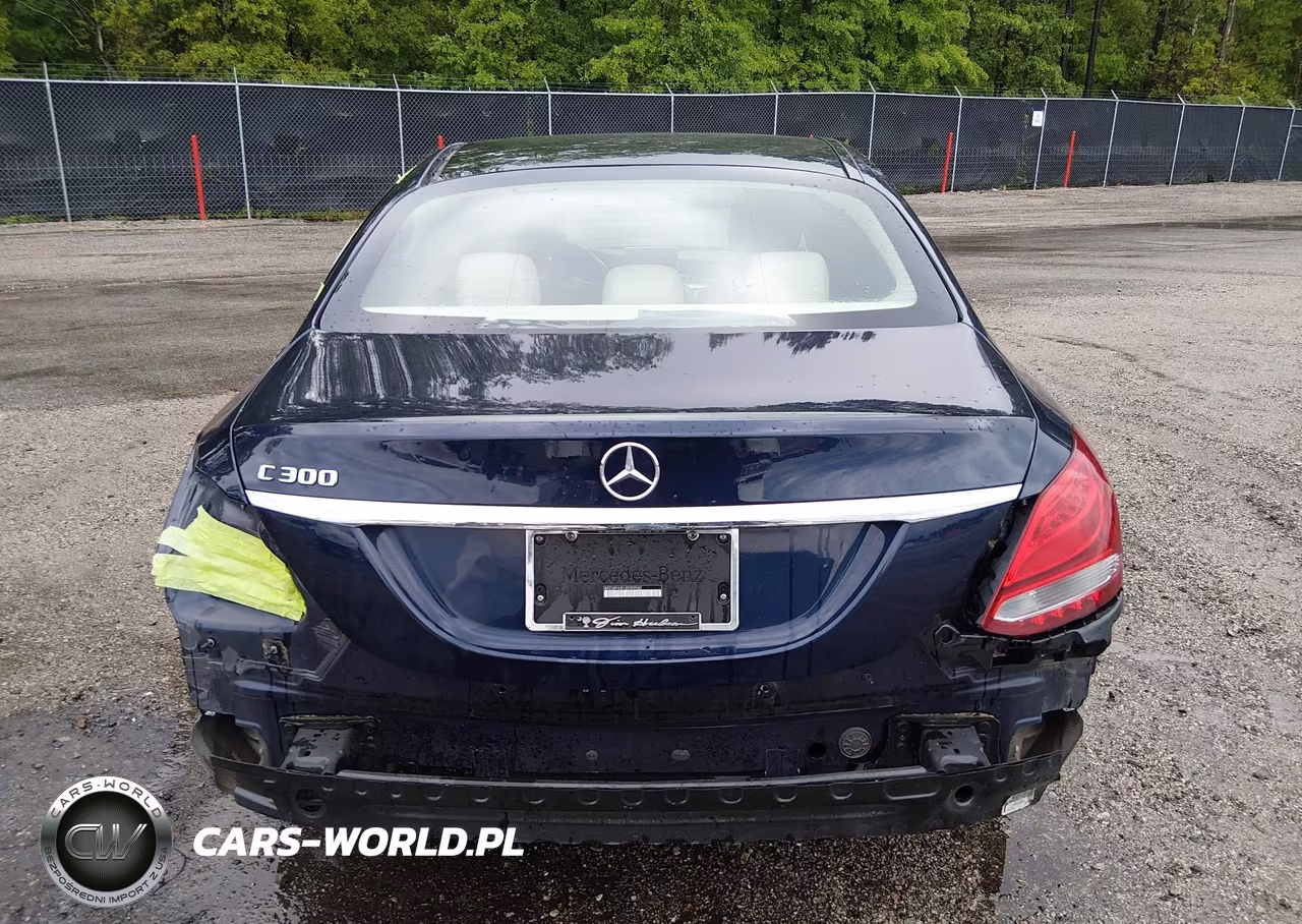 2018 Mercedes-Benz C 300 VIN:WDDWF4JB1JR389542 - 17