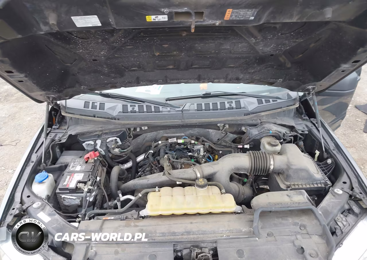 2019 Ford F-150 Xl VIN:1FTEW1EP8KFB14120 - 10