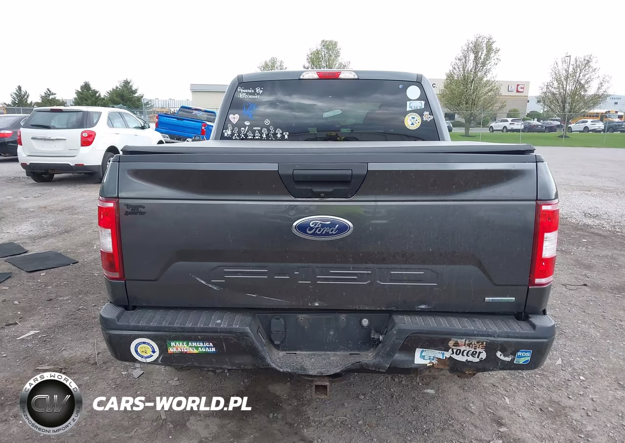 2019 Ford F-150 Xl VIN:1FTEW1EP8KFB14120 - 16