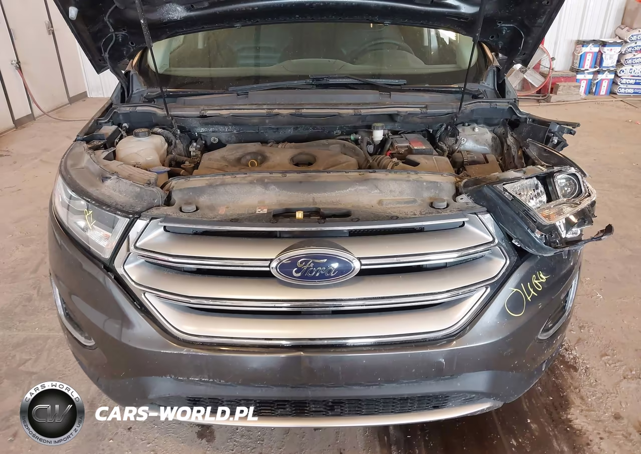 2017 Ford Edge Sel VIN:2FMPK4J95HBB15955 - 10