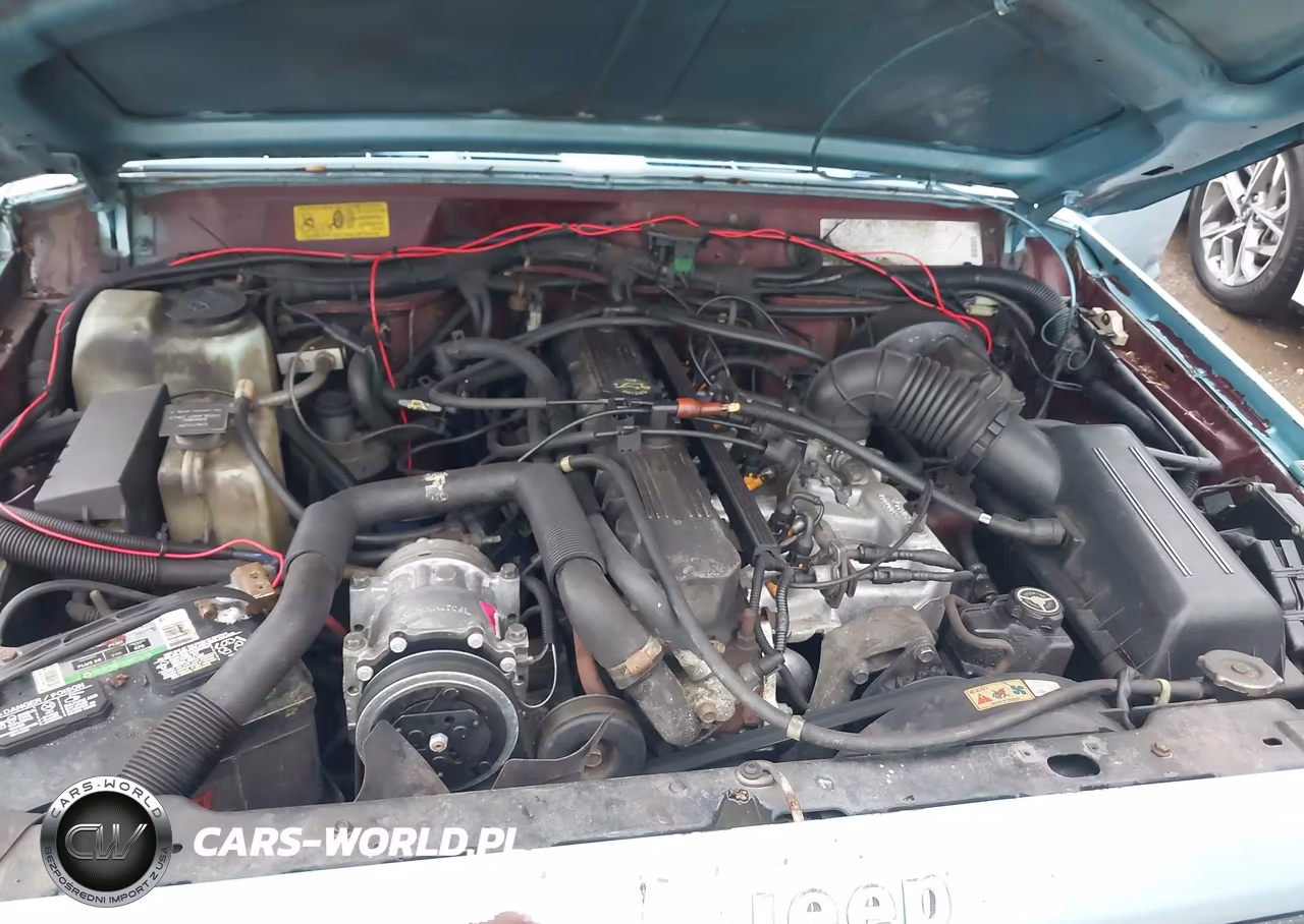 1992 Jeep Cherokee VIN:1J4FJ27S0NL230745 - 10