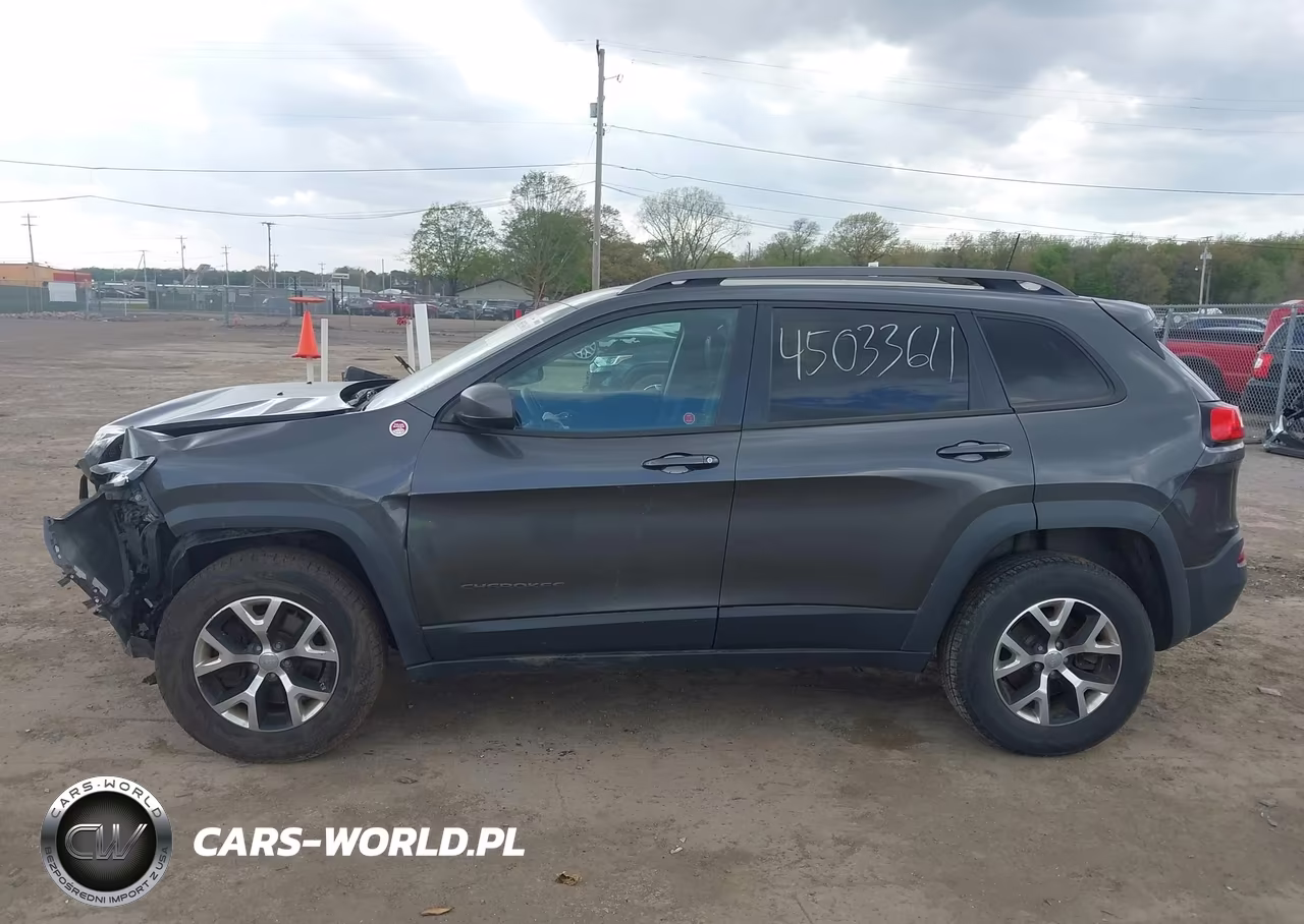 2016 Jeep Cherokee Trailhawk VIN:1C4PJMBB9GW233027 - 15