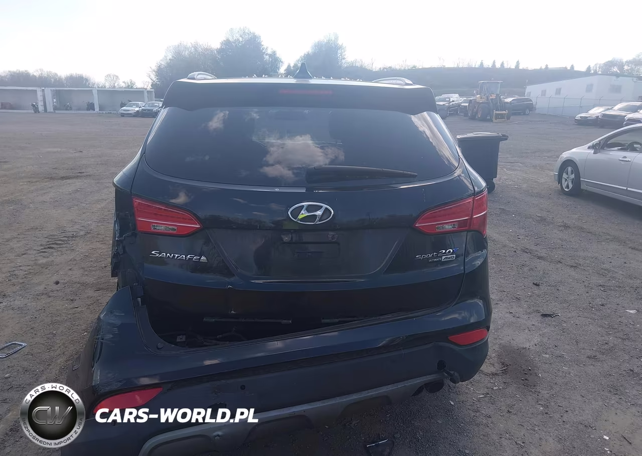2016 Hyundai Santa Fe Sport 2.0L Turbo VIN:5XYZWDLA4GG331900 - 16