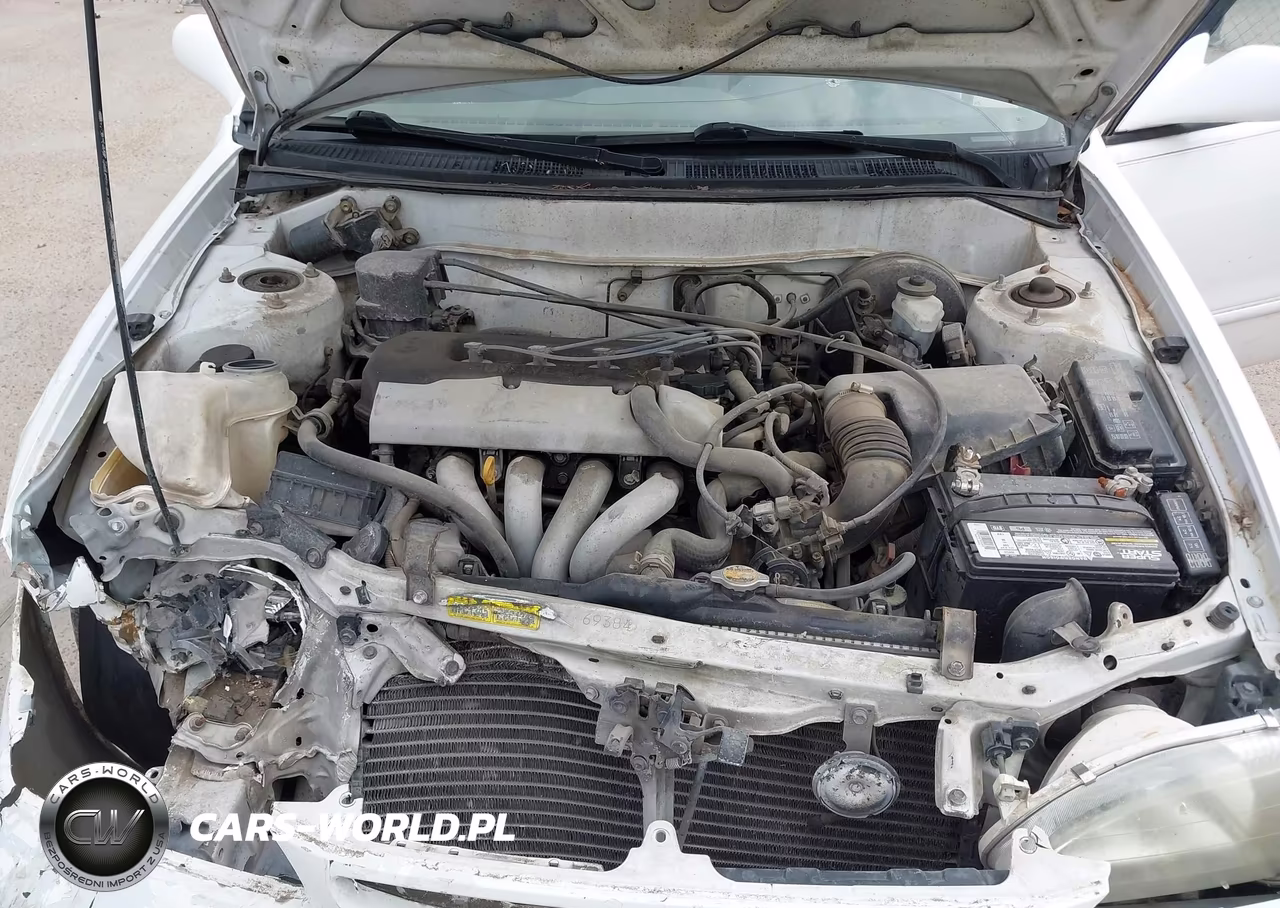 1998 Toyota Corolla Le VIN:2T1BR18E4WC083418 - 10