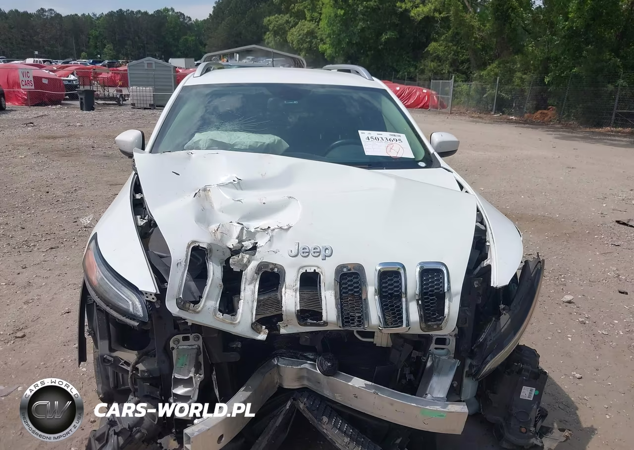2014 Jeep Cherokee Latitude VIN:1C4PJLCS5EW105549 - 12