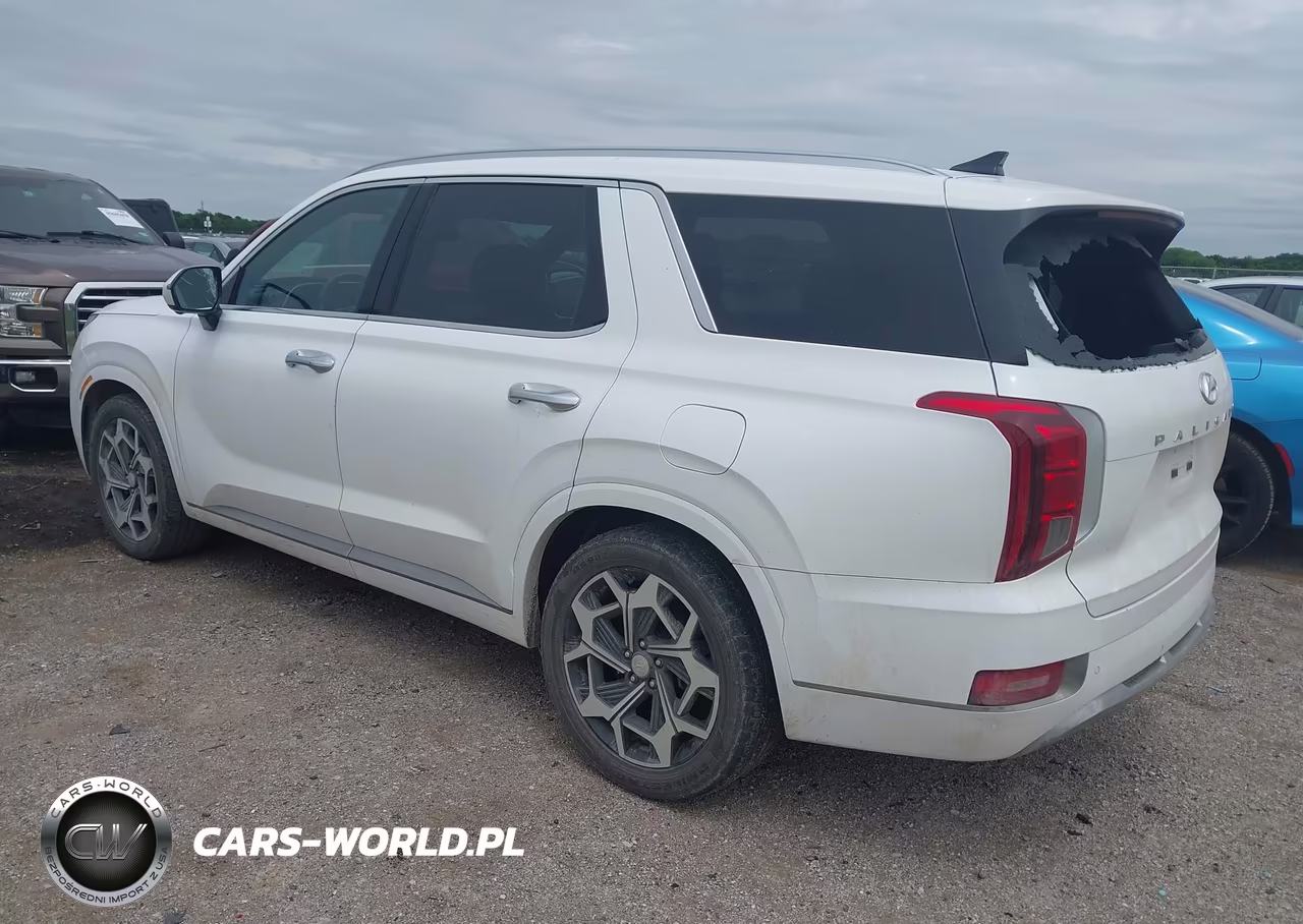 2022 Hyundai Palisade Calligraphy VIN:KM8R74HE4NU387478 - 3