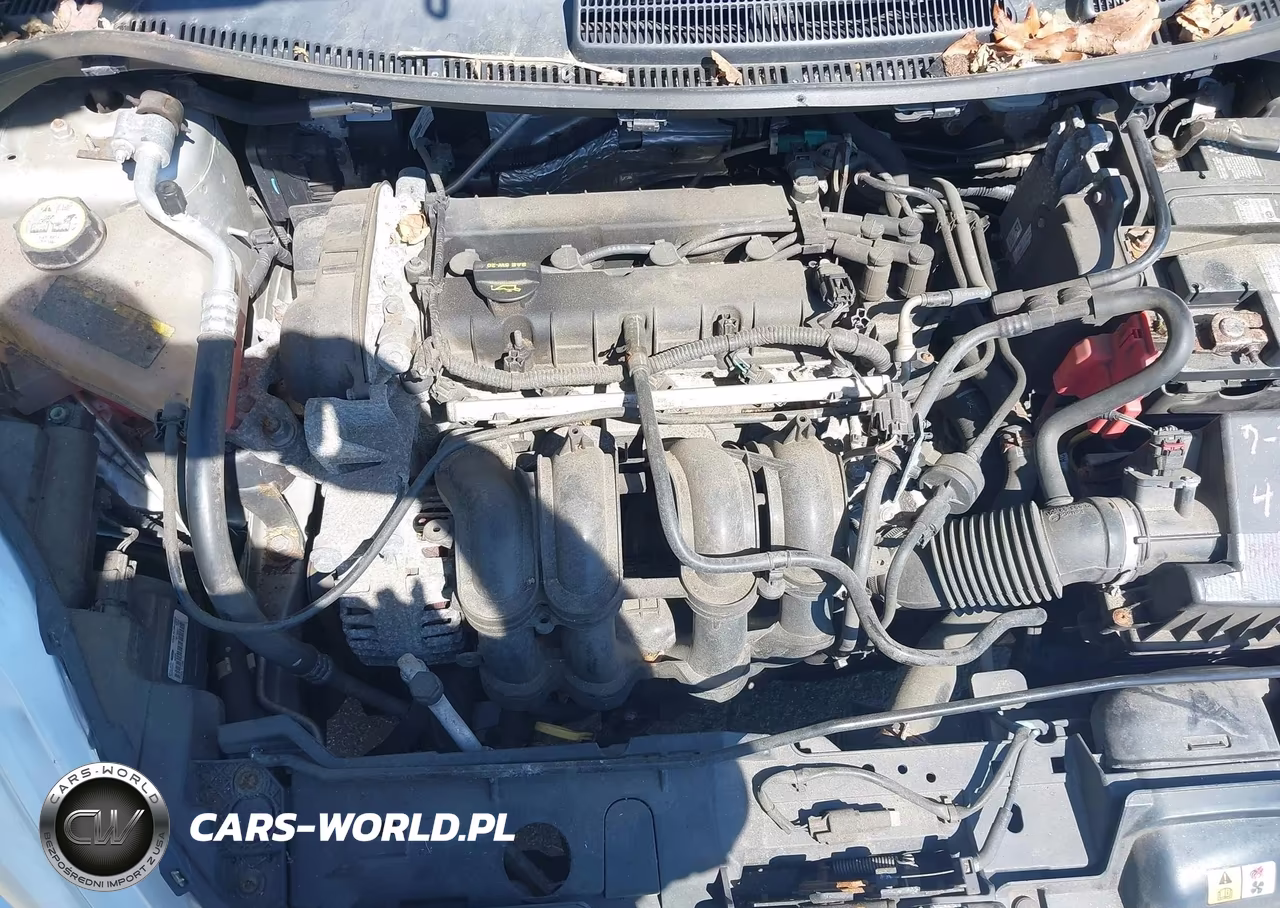 2013 Ford Fiesta Se VIN:3FADP4BJ9DM173972 - 10