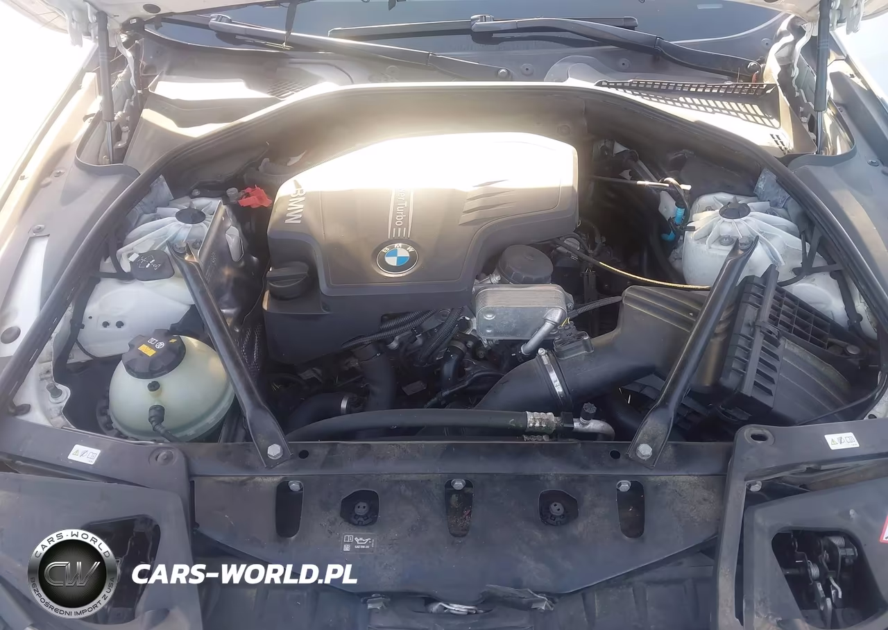 2016 BMW 528I VIN:WBA5A5C52GD528498 - 10