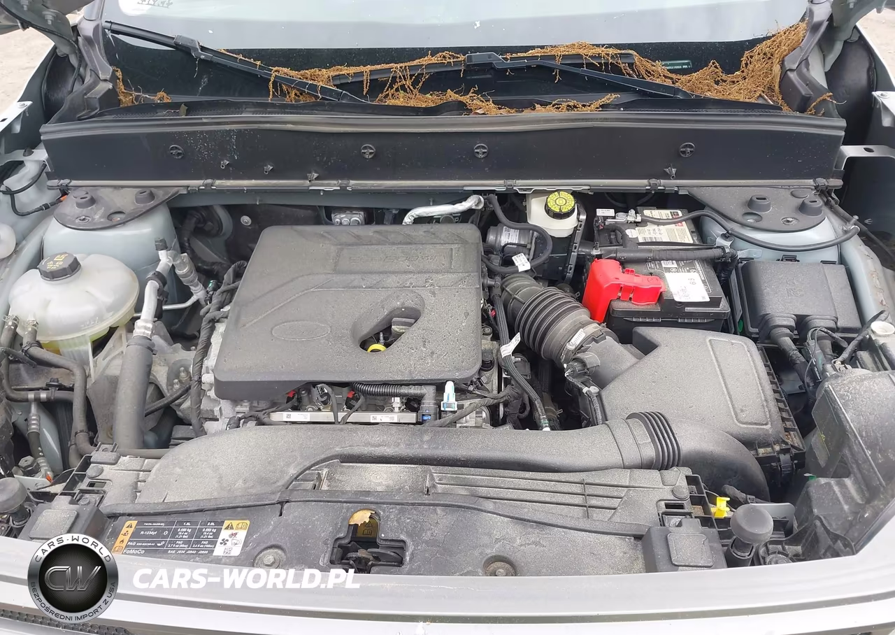 2021 Ford Bronco Sport Big Bend VIN:3FMCR9B62MRA19868 - 10