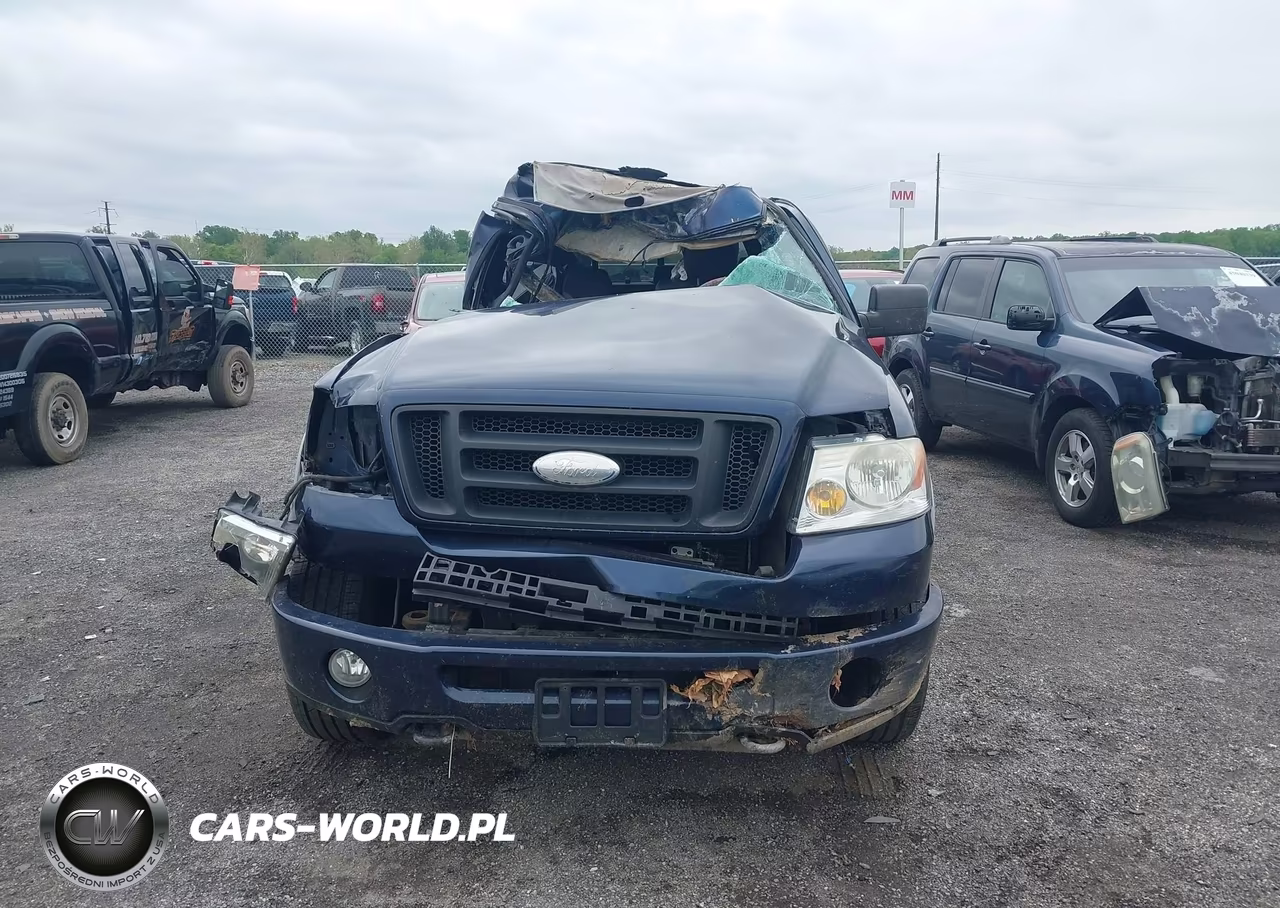 2006 Ford F-150 Fx4-Lariat-Xl-Xlt VIN:1FTPX14516NA21389 - 12