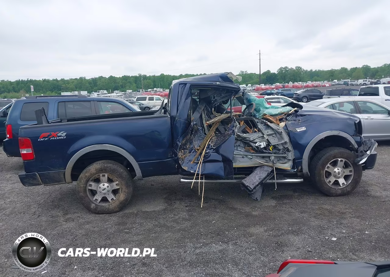 2006 Ford F-150 Fx4-Lariat-Xl-Xlt VIN:1FTPX14516NA21389 - 13