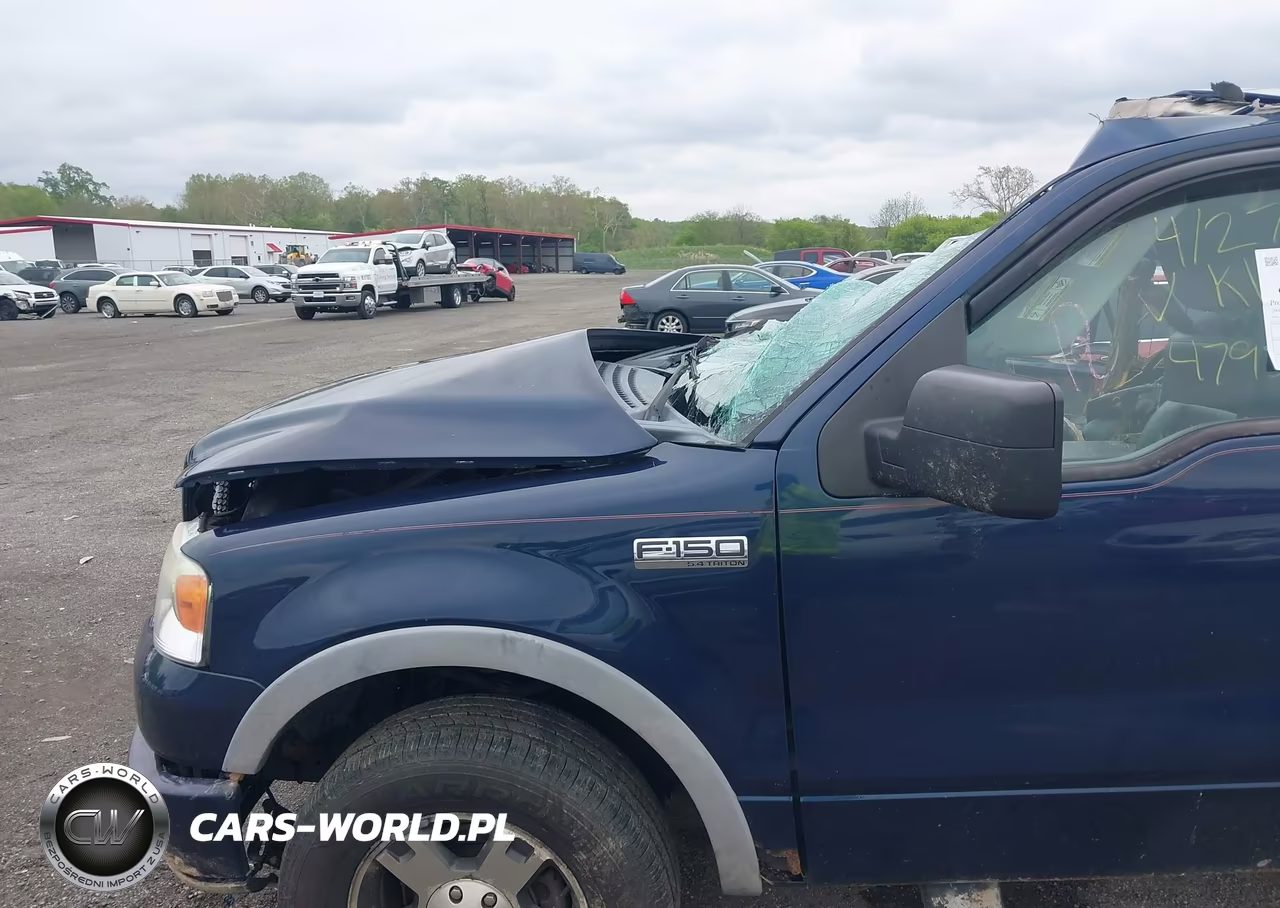 2006 Ford F-150 Fx4-Lariat-Xl-Xlt VIN:1FTPX14516NA21389 - 6