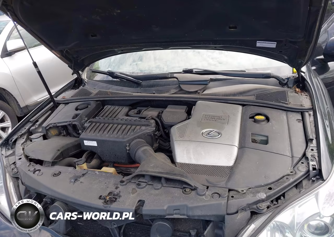 2006 Lexus Rx 400H VIN:JTJHW31U062000255 - 10