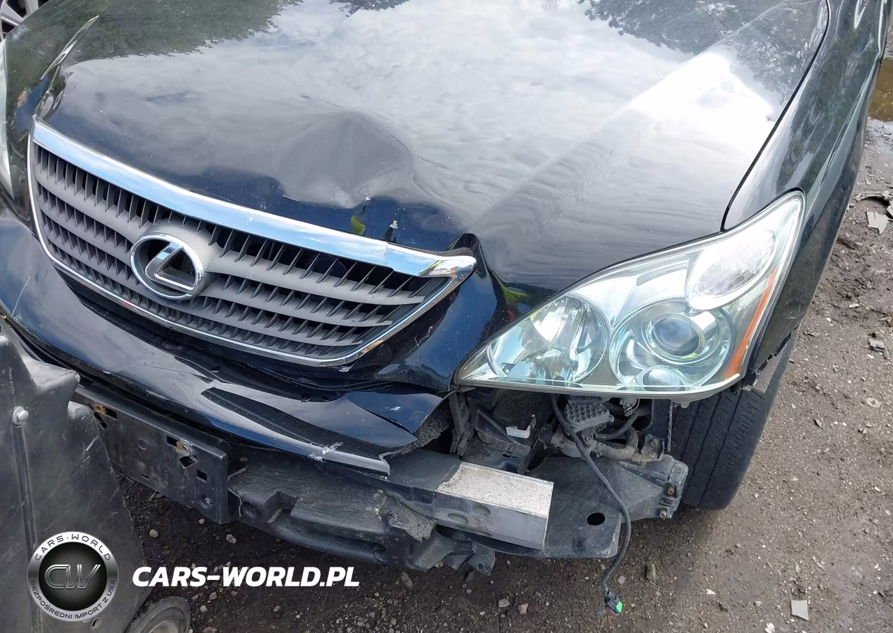 2006 Lexus Rx 400H VIN:JTJHW31U062000255 - 13