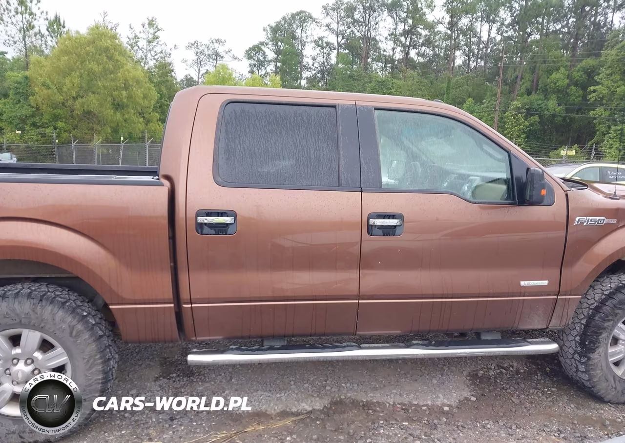 2012 Ford F-150 Fx4-King Ranch-Lariat-Platinum-Xl-Xlt VIN:1FTFW1ET8CKD67447 - 13