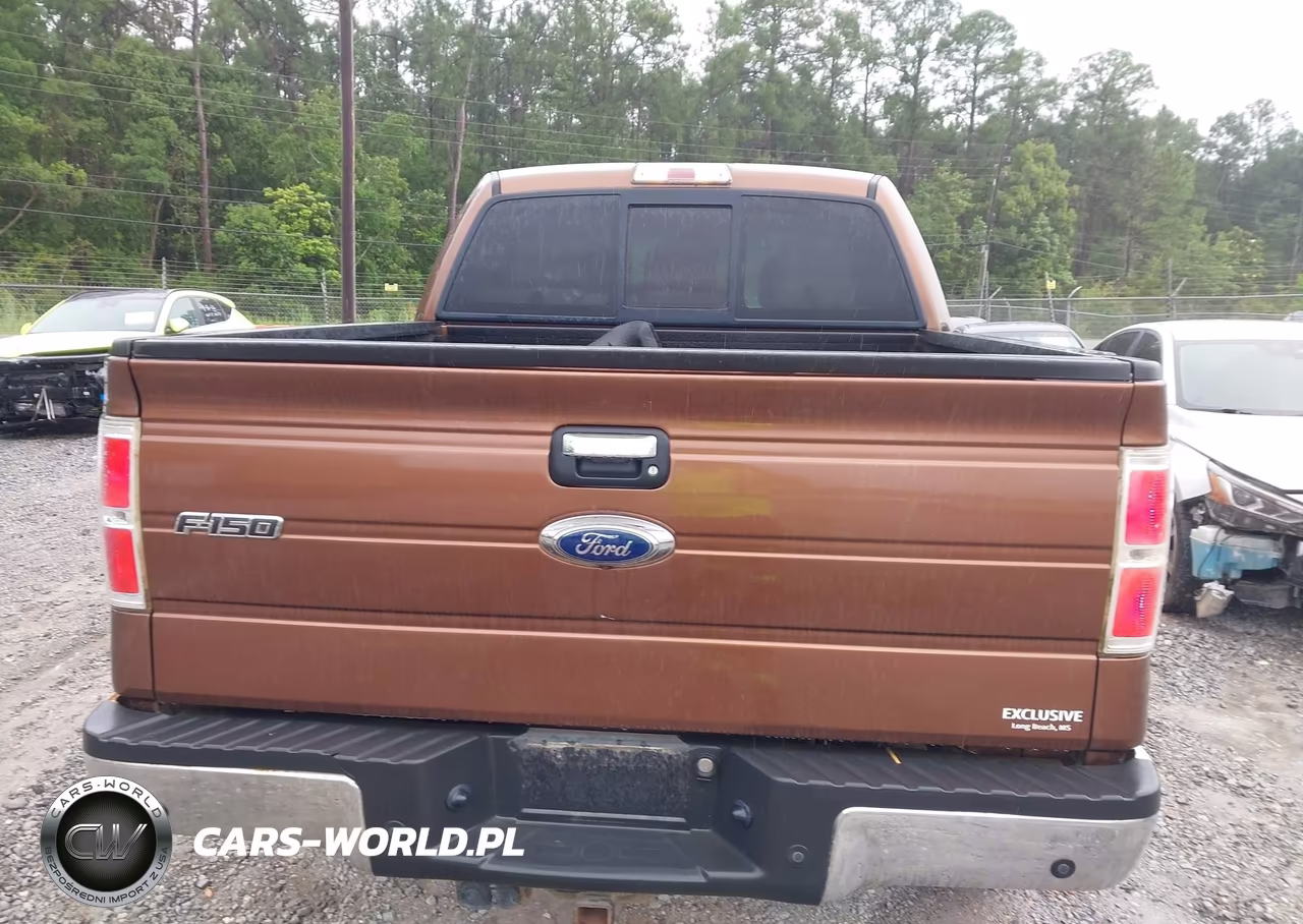2012 Ford F-150 Fx4-King Ranch-Lariat-Platinum-Xl-Xlt VIN:1FTFW1ET8CKD67447 - 16