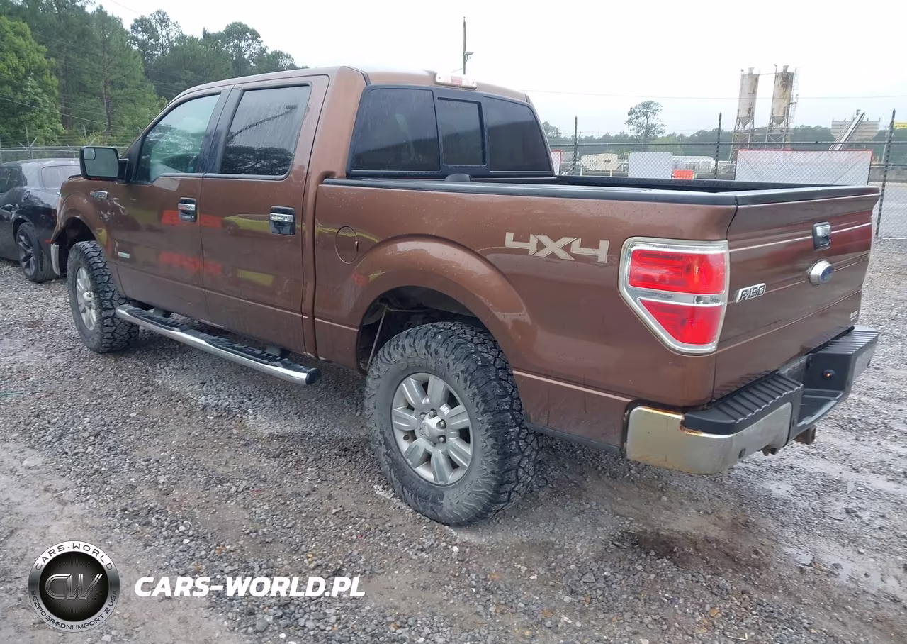 2012 Ford F-150 Fx4-King Ranch-Lariat-Platinum-Xl-Xlt VIN:1FTFW1ET8CKD67447 - 3