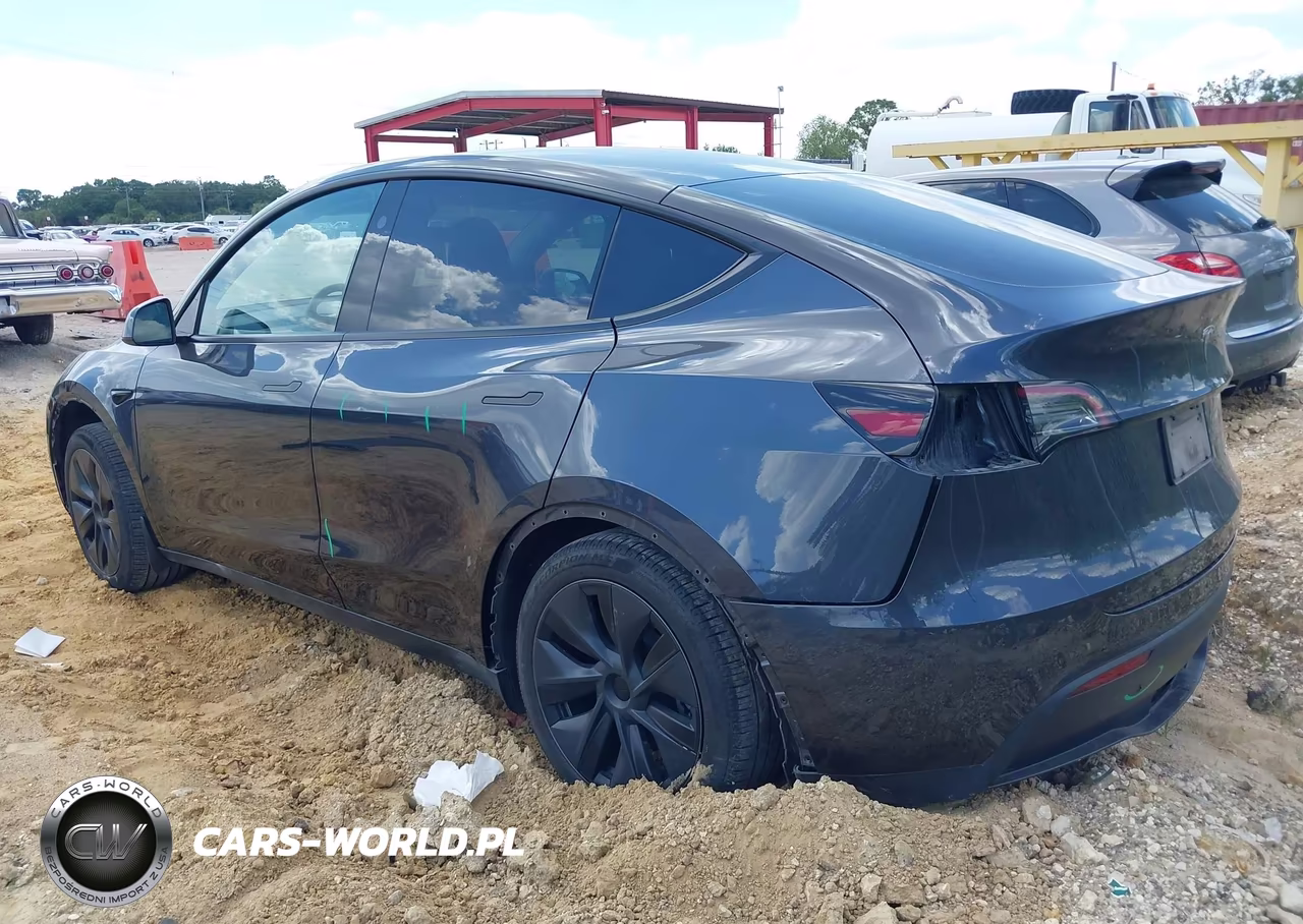 2025 Tesla Model Y Long Range Dual Motor All-Wheel Drive VIN:7SAYGDEE6SA350361 - 3