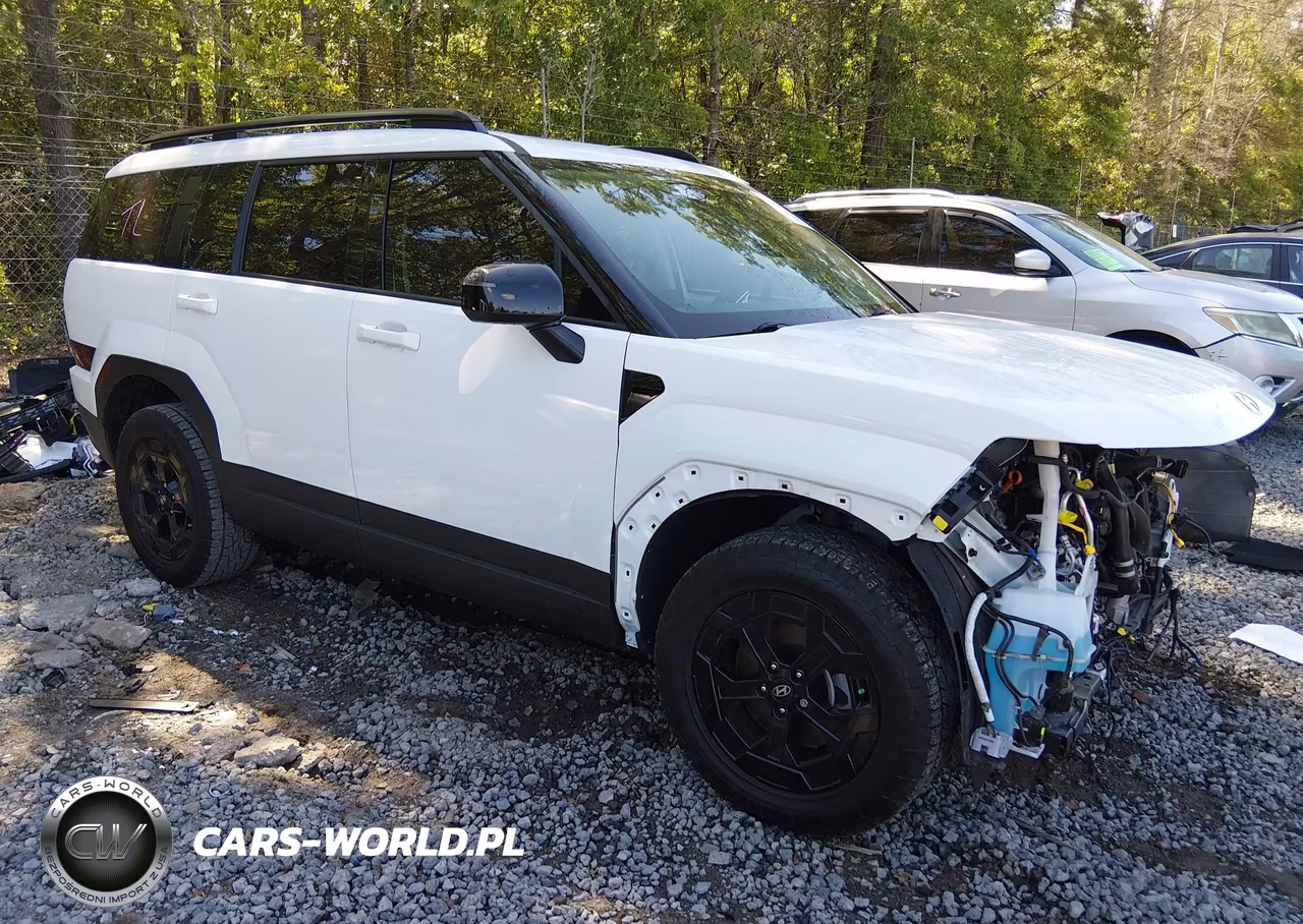 2024 Hyundai Santa Fe Xrt – zdjęcie 1 z 17