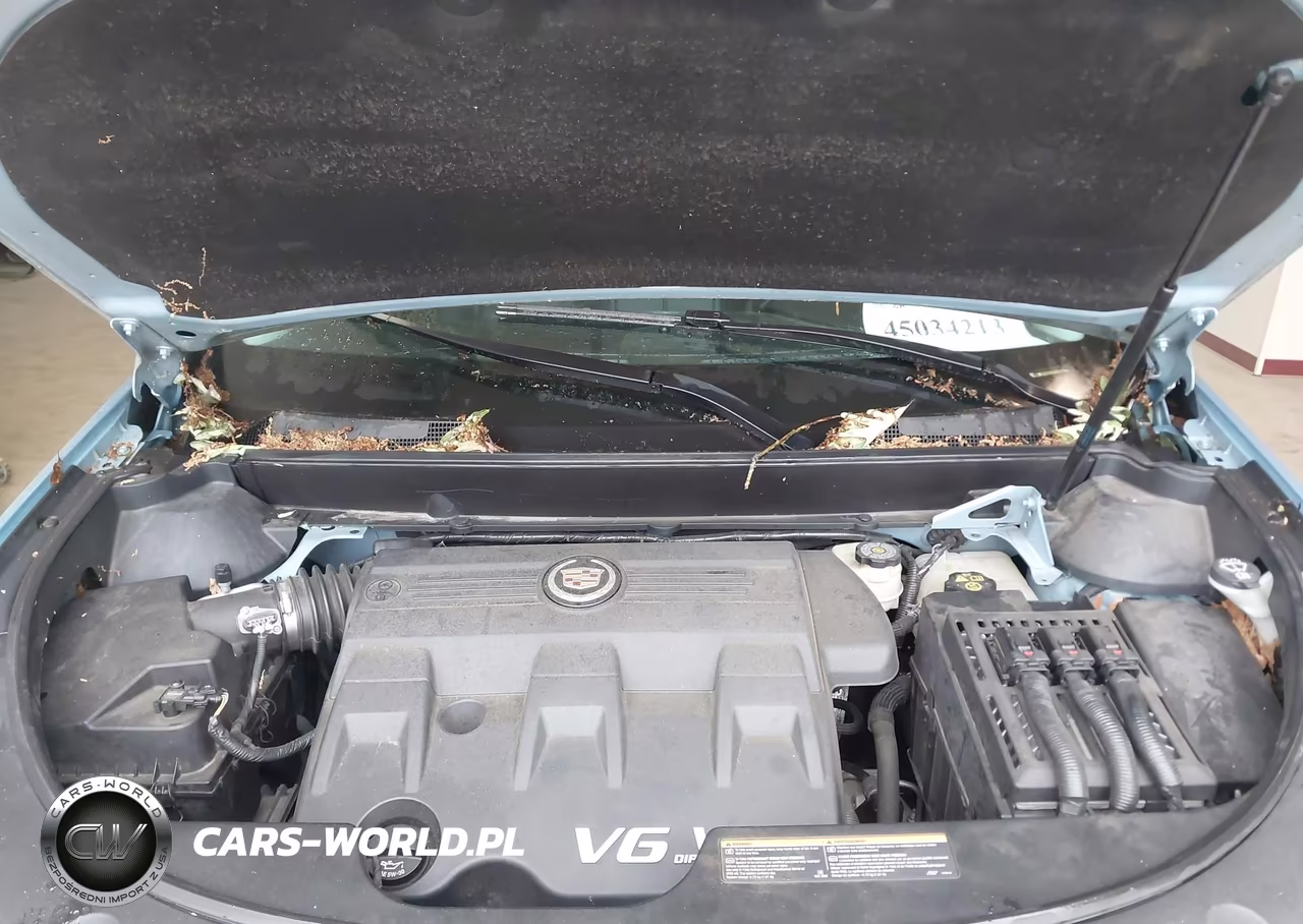 2011 Cadillac Srx Performance Collection VIN:3GYFNBEY2BS572943 - 10