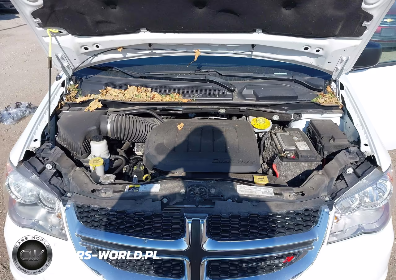 2019 Dodge Grand Caravan Se VIN:2C4RDGBG2KR756176 - 10