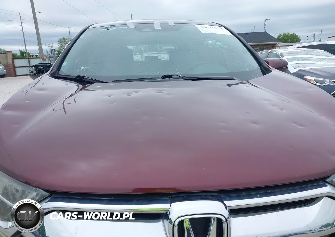 2019 Honda Cr-V Ex VIN:7FARW2H59KE004588 - 6