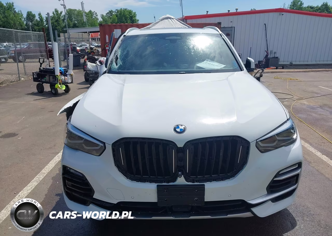 2019 BMW X5 xDrive40I VIN:5UXCR6C53KLL39817 - 13