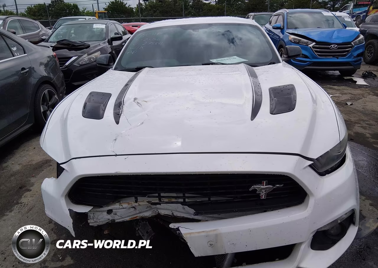 2017 Ford Mustang Gt Premium VIN:1FA6P8CF3H5275841 - 12