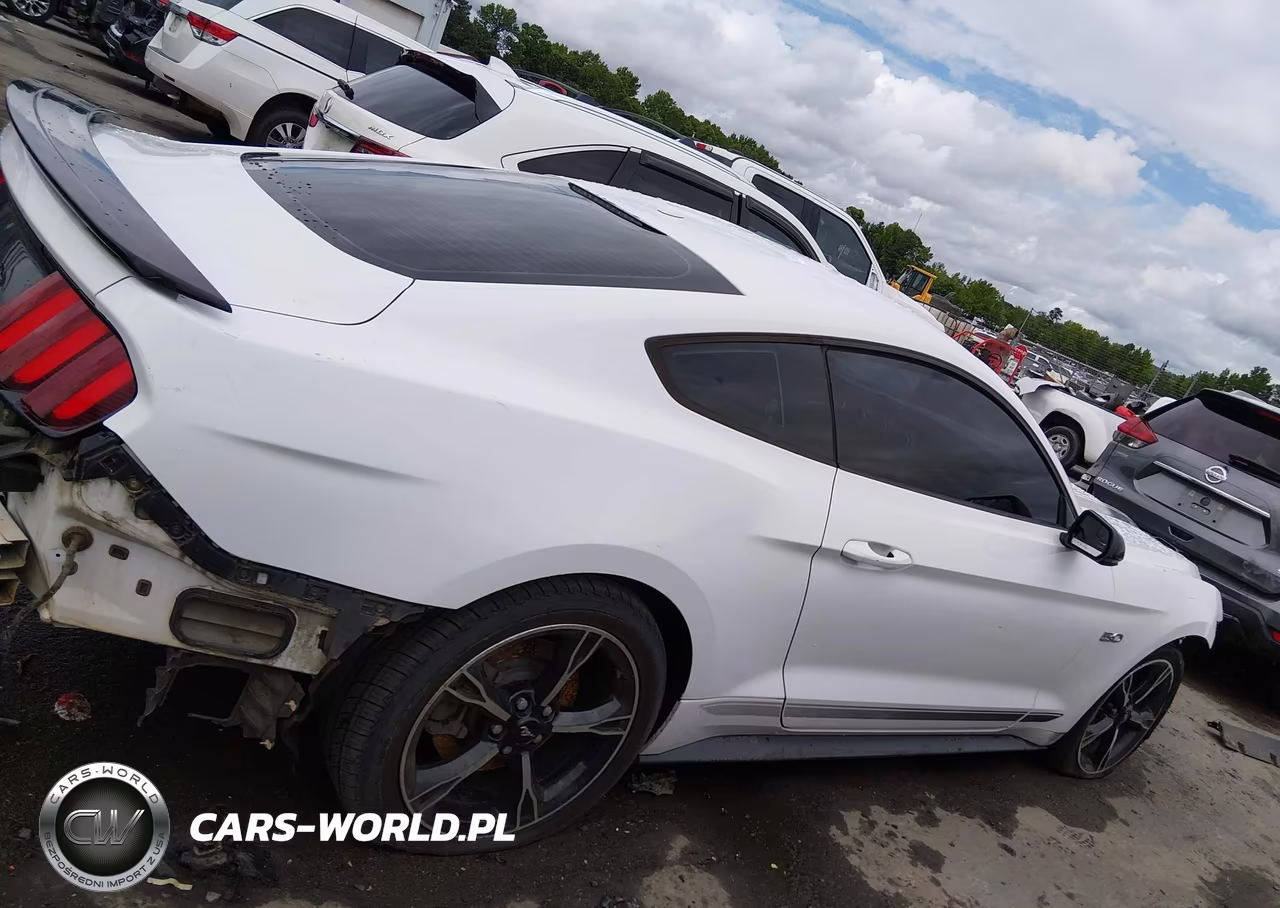 2017 Ford Mustang Gt Premium VIN:1FA6P8CF3H5275841 - 13