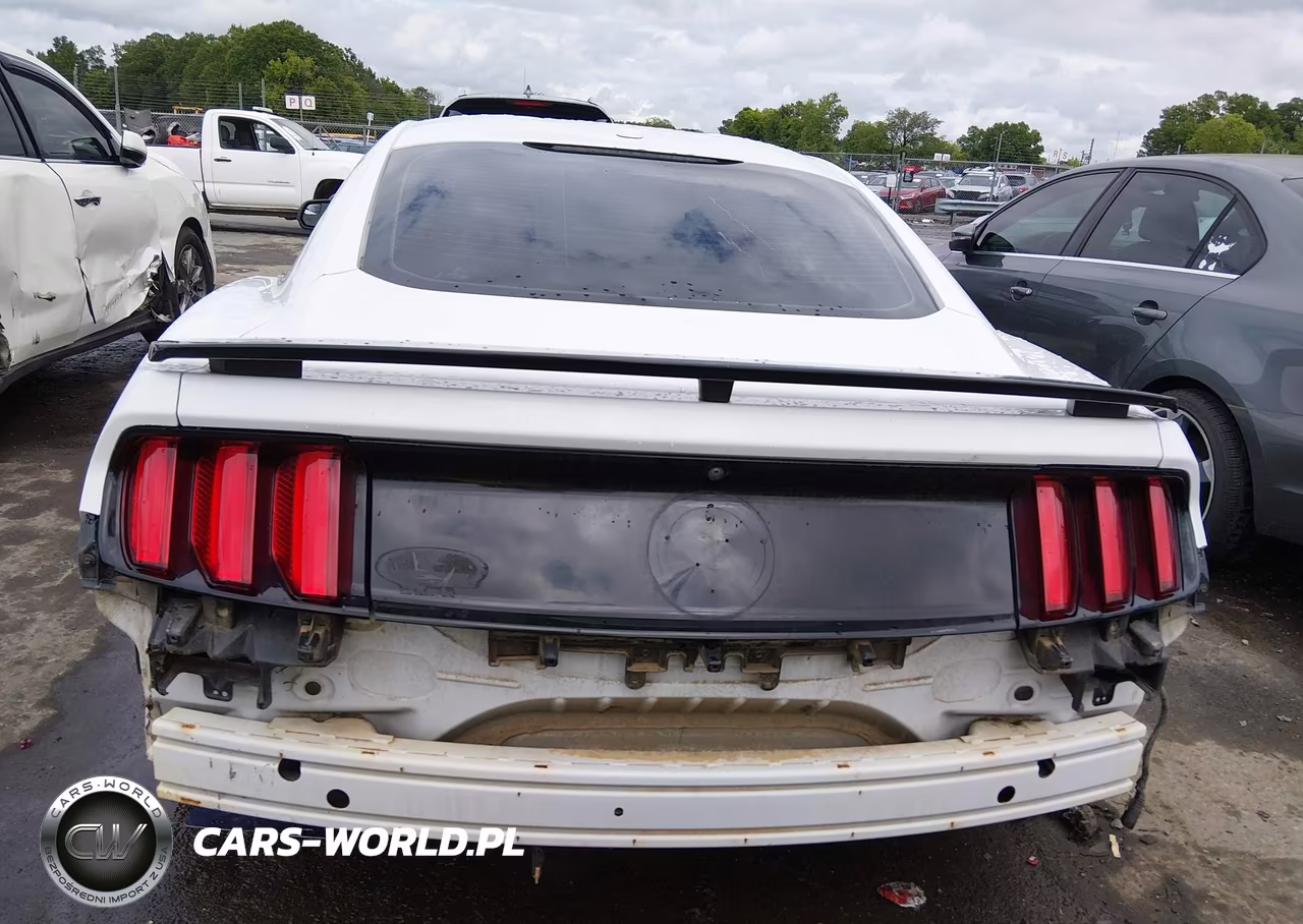 2017 Ford Mustang Gt Premium VIN:1FA6P8CF3H5275841 - 16