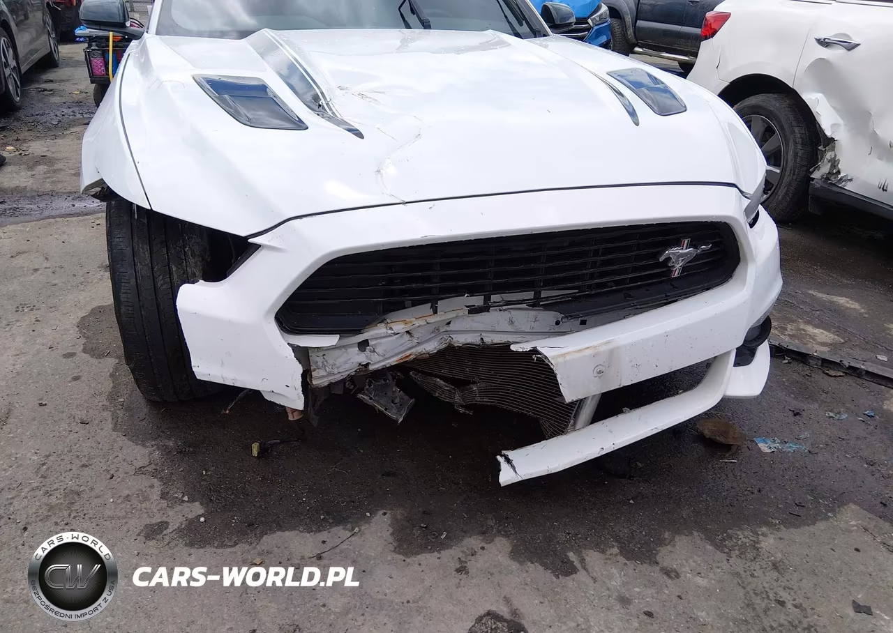 2017 Ford Mustang Gt Premium VIN:1FA6P8CF3H5275841 - 6